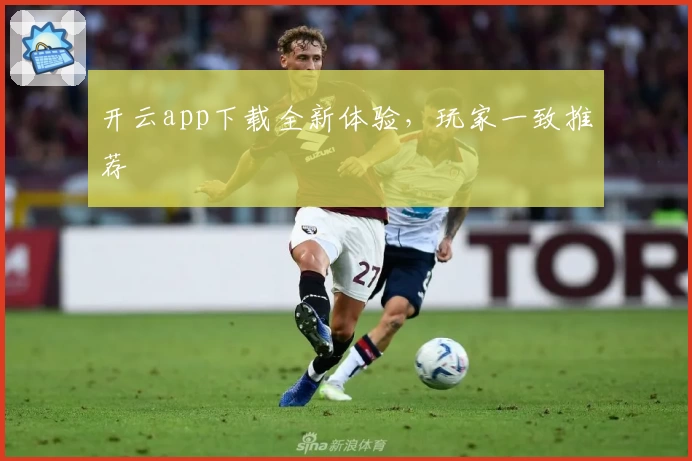 开云app下载全新体验，玩家一致推荐