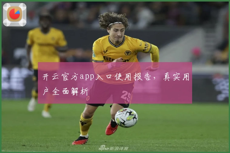 开云官方app入口使用报告,真实用户全面解析