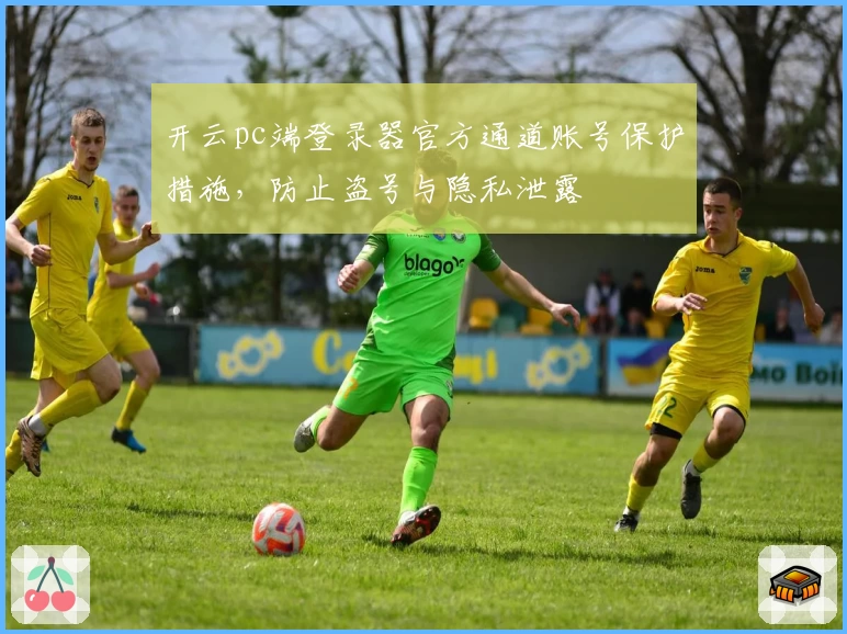 开云pc端登录器官方通道账号保护措施，防止盗号与隐私泄露