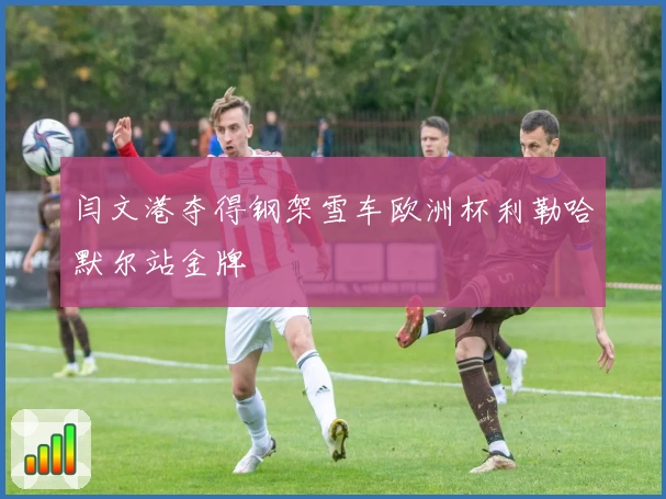 闫文港夺得钢架雪车欧洲杯利勒哈默尔站金牌