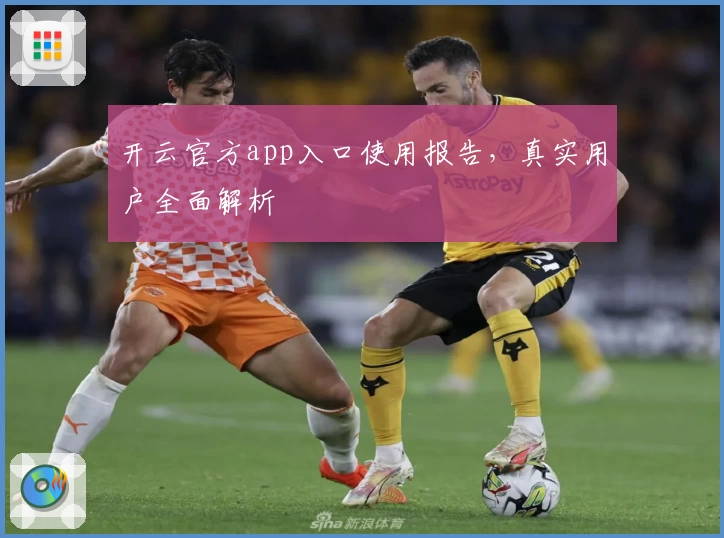 开云官方app入口使用报告，真实用户全面解析